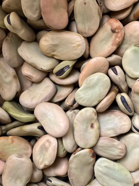Filé de Peito de Frango (kg)